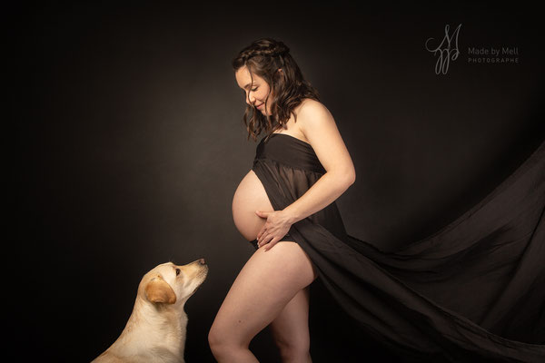 photographe grossesse avec chien toulouse, séance photo grossesse avec chien