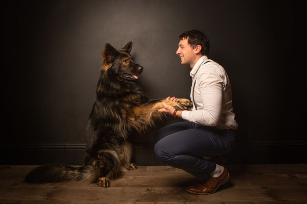 photographe animalier chien toulouse, Altdeutscher Schäferhund