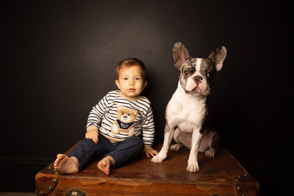 photographe chien et bébé studio, séance photo chien studio, portrait chien toulouse, photographe animalier toulouse