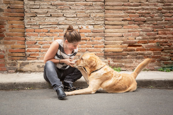 photographe chien studio, séance photo chien studio, portrait chien toulouse, photographe animalier toulouse