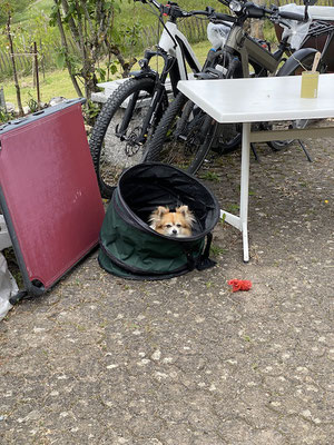 Windgeschützter Platz