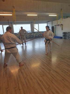 Kobudo Bo Training 