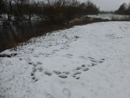 Spuren im Schnee