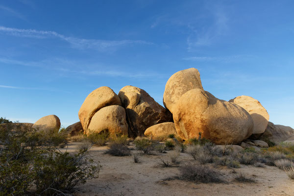 Joshua Tree NP