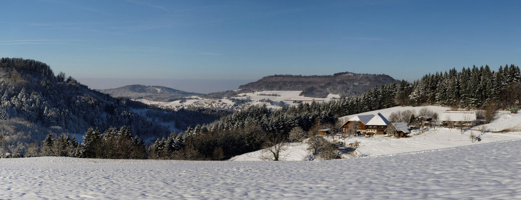 Blick auf den Schönberg von Horben