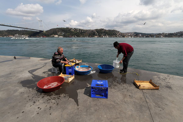 Fischer mit ihrem Fang am Bosporus