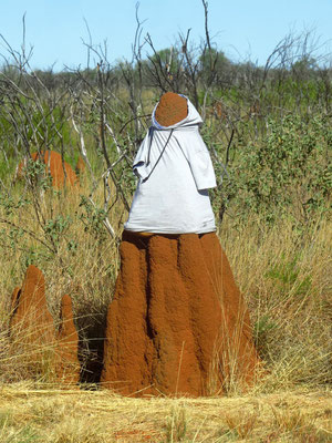 now which is the best dressed termite mount here?