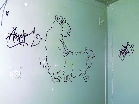 Klomalereien  -  grafiti in a roadside toilet