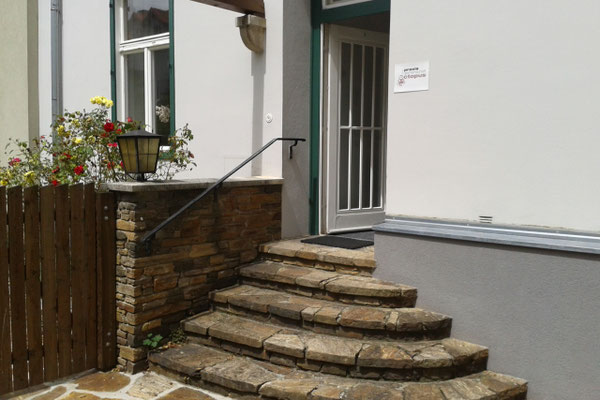 Die Eingangtstür zur Praxis Octopus. Es befinden sich fünf Stufen mit einem Handlauf. Die Tür ist geöffnet, heraußen stehen ein paar dekorative Gegenstände.