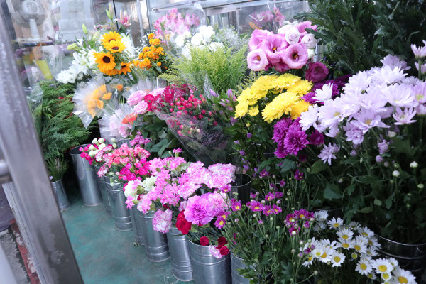 はなのみせ花紋 はなのみせ花紋 はなのみせ花紋 はなのみせ花紋