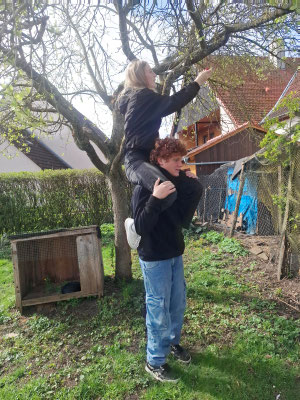 Ostereierversteckerei 