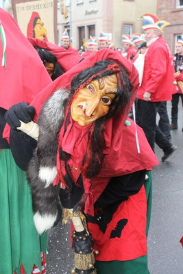 34 Narrentreffen 2013 in Buchen