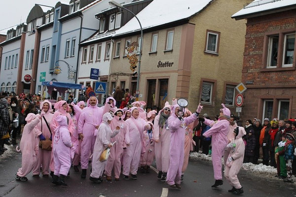 34 Narrentreffen 2013 in Buchen