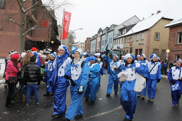 34 Narrentreffen 2013 in Buchen