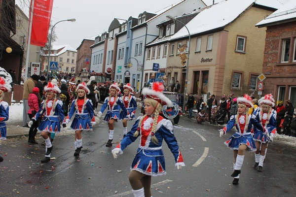 34 Narrentreffen 2013 in Buchen