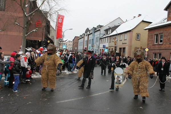 34 Narrentreffen 2013 in Buchen