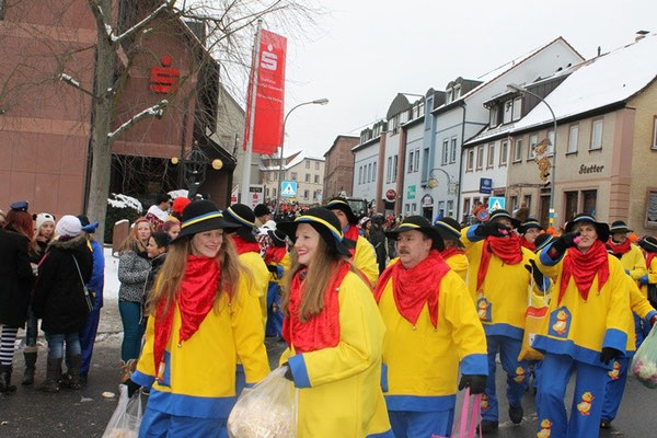 34 Narrentreffen 2013 in Buchen