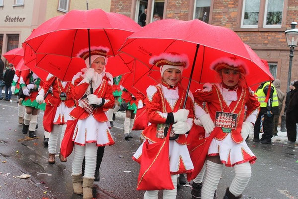 34 Narrentreffen 2013 in Buchen