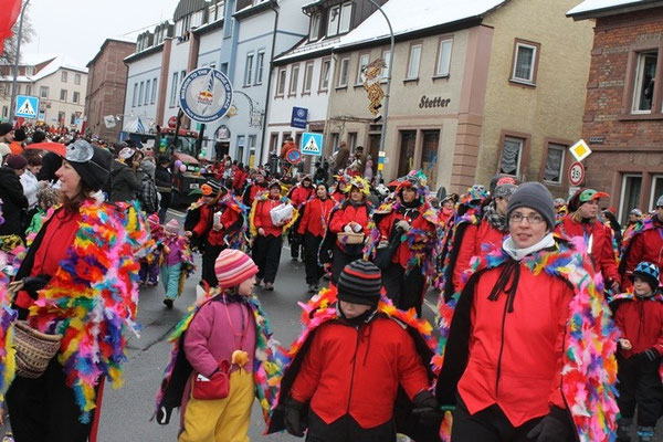 34 Narrentreffen 2013 in Buchen