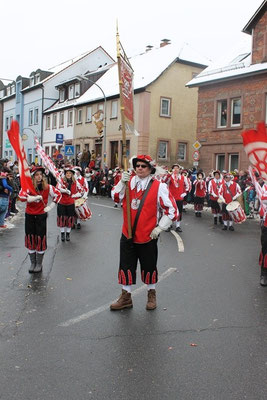 34 Narrentreffen 2013 in Buchen