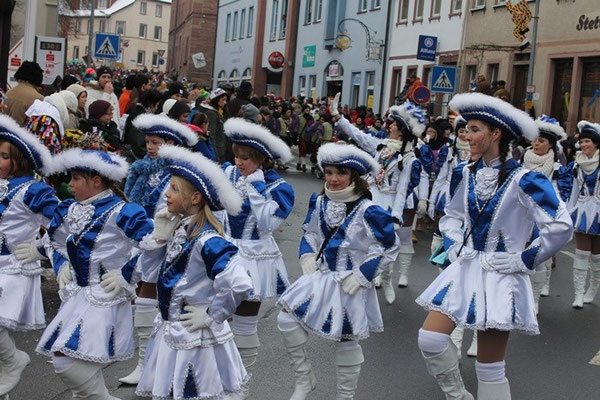34 Narrentreffen 2013 in Buchen