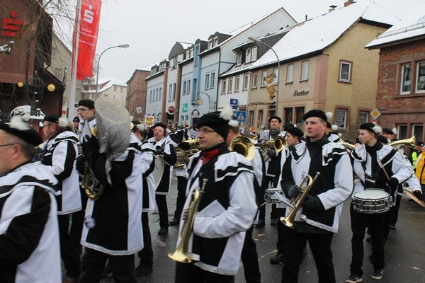 34 Narrentreffen 2013 in Buchen