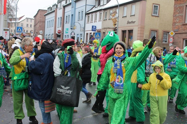 34 Narrentreffen 2013 in Buchen