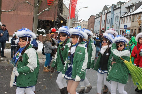 34 Narrentreffen 2013 in Buchen