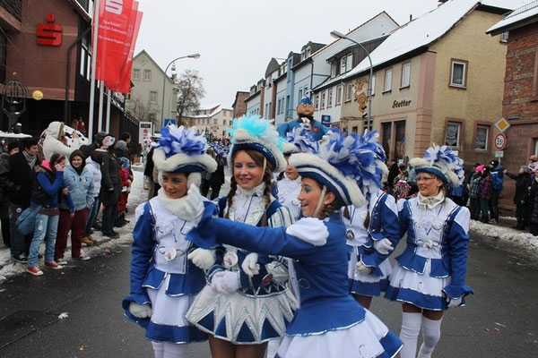 34 Narrentreffen 2013 in Buchen