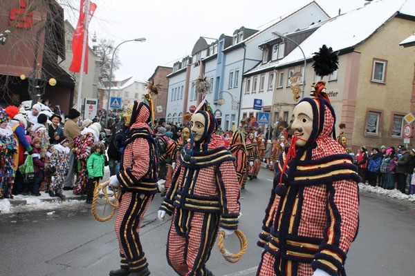 34 Narrentreffen 2013 in Buchen