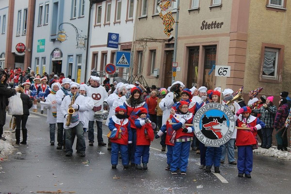 34 Narrentreffen 2013 in Buchen