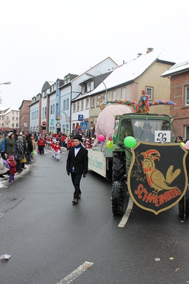 34 Narrentreffen 2013 in Buchen