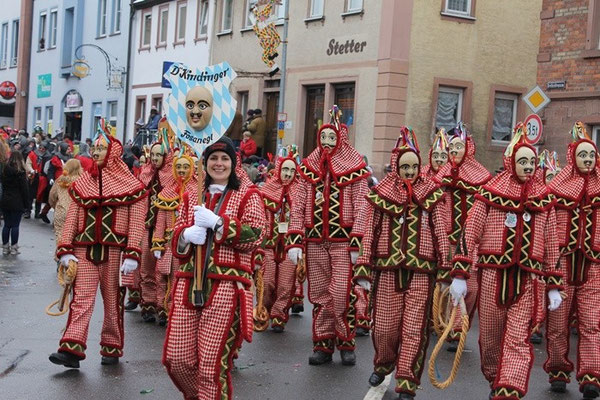 34 Narrentreffen 2013 in Buchen