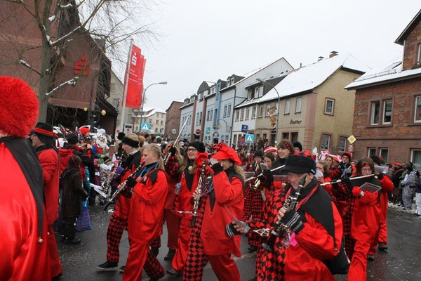 34 Narrentreffen 2013 in Buchen