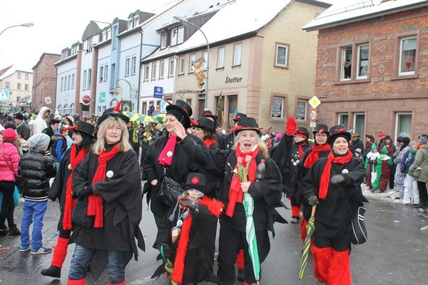34 Narrentreffen 2013 in Buchen