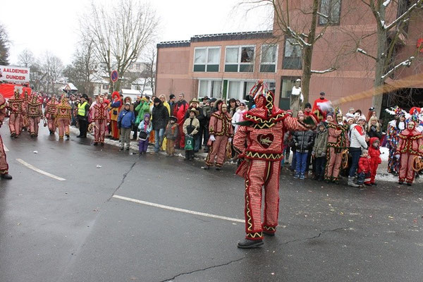 34 Narrentreffen 2013 in Buchen