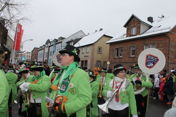 34 Narrentreffen 2013 in Buchen