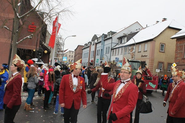 34 Narrentreffen 2013 in Buchen