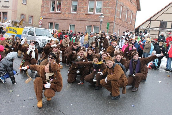 34 Narrentreffen 2013 in Buchen