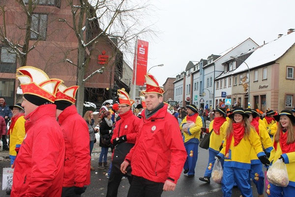 34 Narrentreffen 2013 in Buchen
