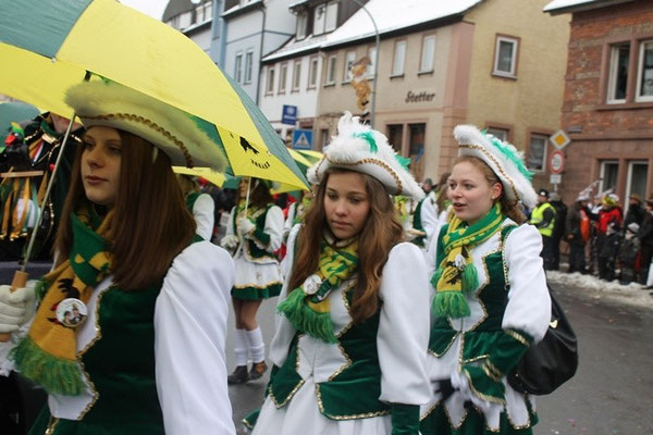 34 Narrentreffen 2013 in Buchen