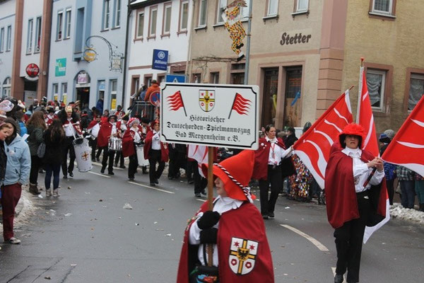 34 Narrentreffen 2013 in Buchen