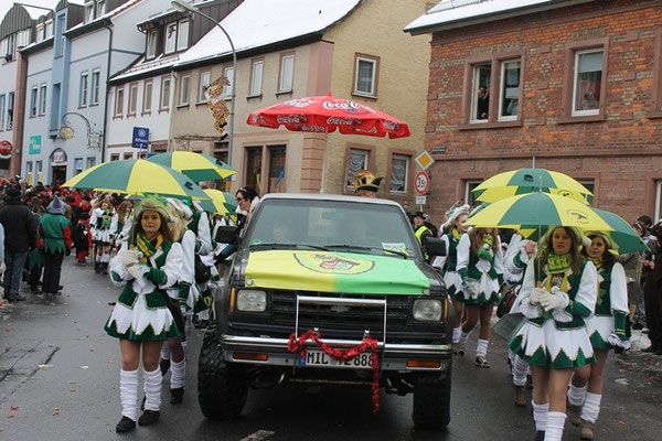 34 Narrentreffen 2013 in Buchen