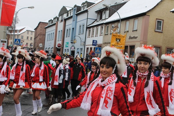 34 Narrentreffen 2013 in Buchen