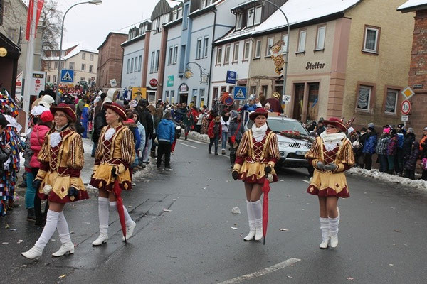 34 Narrentreffen 2013 in Buchen