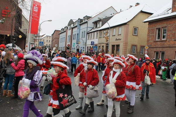 34 Narrentreffen 2013 in Buchen