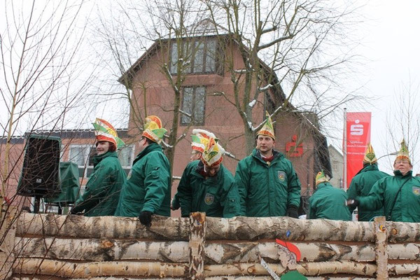 34 Narrentreffen 2013 in Buchen