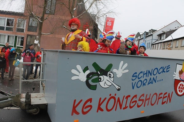 34 Narrentreffen 2013 in Buchen