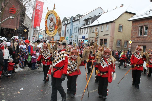 34 Narrentreffen 2013 in Buchen