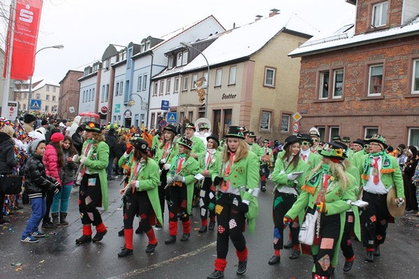34 Narrentreffen 2013 in Buchen